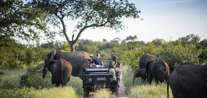 SAFARIS NO KRUGER + CAPE TOWN