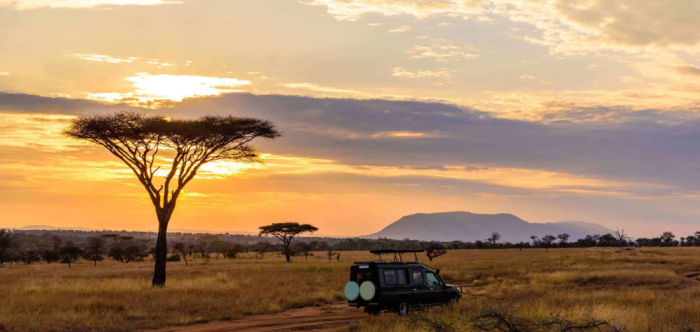 SAFARIS E VINHOS NA ÁFRICA DO SUL